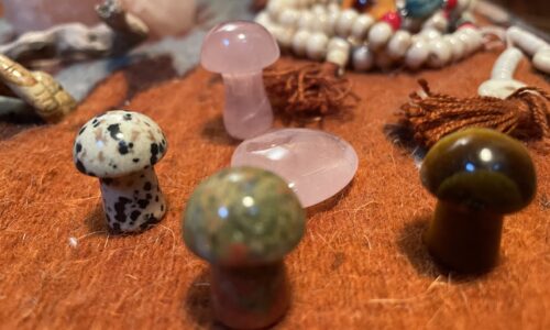 A Guided Micro-dosing Practice